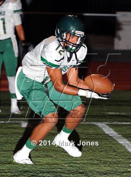 Thumbnail 2 in Basha @ Westview photogallery.