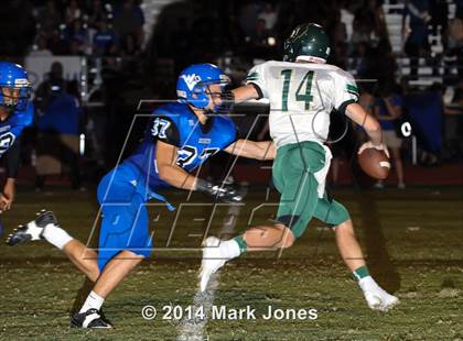 Thumbnail 3 in Basha @ Westview photogallery.