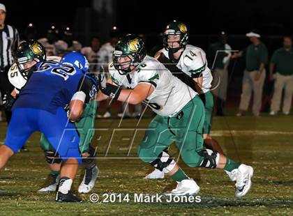 Thumbnail 1 in Basha @ Westview photogallery.