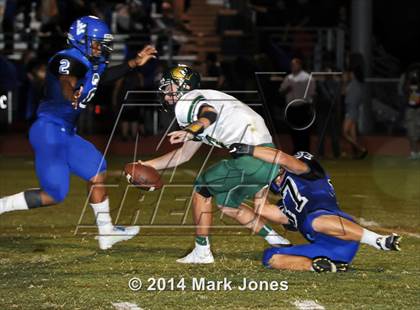 Thumbnail 1 in Basha @ Westview photogallery.