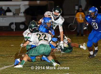 Thumbnail 1 in Basha @ Westview photogallery.