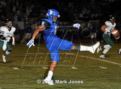 Thumbnail 3 in Basha @ Westview photogallery.