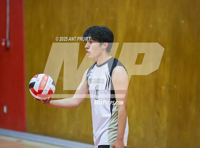 null - Photo 11
