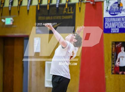 Thumbnail 1 in Windsor @ Cardinal Newman photogallery.