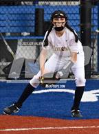 Photo from the gallery "Niagara Falls @ Grand Island"