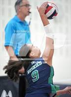 Photo from the gallery "Paul VI @ Flint Hill"