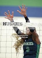 Photo from the gallery "Paul VI @ Flint Hill"