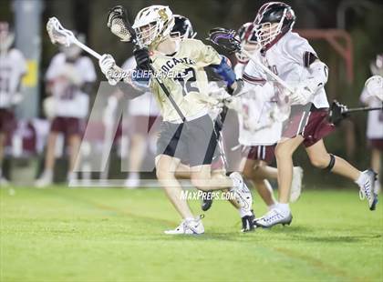 Thumbnail 1 in Wando @ Socastee photogallery.