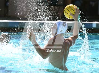 Thumbnail 3 in Damien vs. La Jolla (Steve Pal Memorial) photogallery.