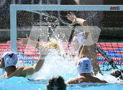 Thumbnail 2 in Damien vs. La Jolla (Steve Pal Memorial) photogallery.