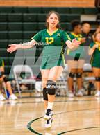 Photo from the gallery "Laguna Creek @ Kennedy"