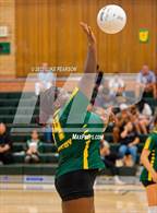 Photo from the gallery "Laguna Creek @ Kennedy"