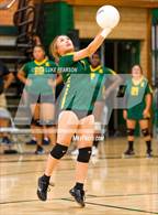 Photo from the gallery "Laguna Creek @ Kennedy"