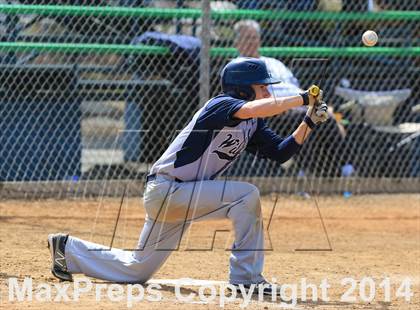 Thumbnail 2 in Marin Catholic @ Hilltop photogallery.