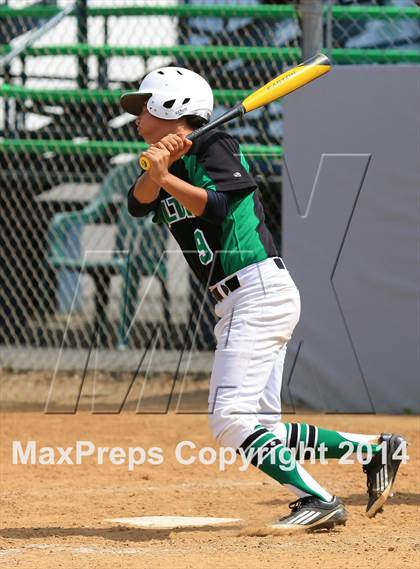 Thumbnail 1 in Marin Catholic @ Hilltop photogallery.