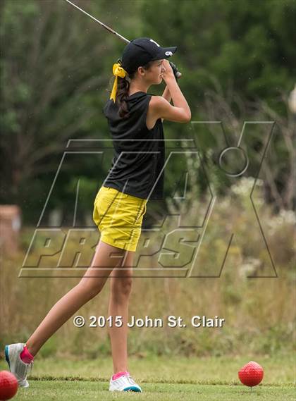 Thumbnail 3 in TSSAA Class AAA Girls Golf Championships (Day 1) photogallery.