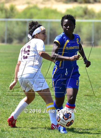 Thumbnail 2 in Bloomfield vs Belen (Aztec Invitational)  photogallery.