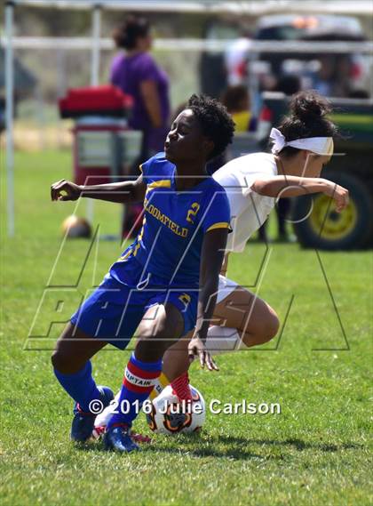 Thumbnail 3 in Bloomfield vs Belen (Aztec Invitational)  photogallery.
