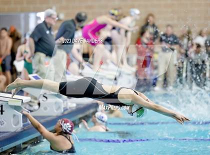Thumbnail 1 in UIL 4A State Varsity Swim & Dive Finals photogallery.