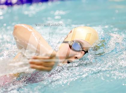 Thumbnail 1 in UIL 4A State Varsity Swim & Dive Finals photogallery.