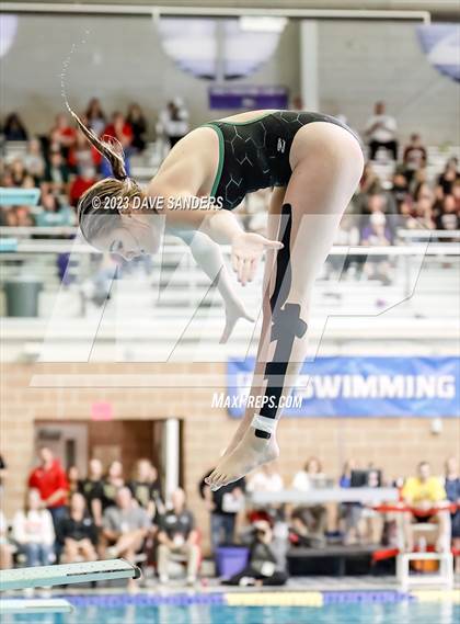 Thumbnail 2 in UIL 4A State Varsity Swim & Dive Finals photogallery.