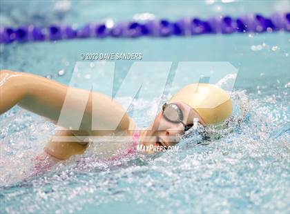Thumbnail 3 in UIL 4A State Varsity Swim & Dive Finals photogallery.