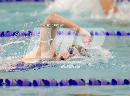 Thumbnail 3 in UIL 4A State Varsity Swim & Dive Finals photogallery.