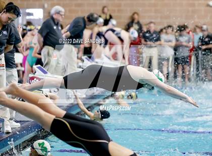 Thumbnail 3 in UIL 4A State Varsity Swim & Dive Finals photogallery.