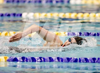 Thumbnail 3 in UIL 4A State Varsity Swim & Dive Finals photogallery.