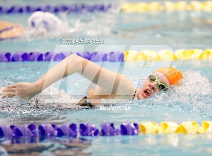 Thumbnail 1 in UIL 4A State Varsity Swim & Dive Finals photogallery.