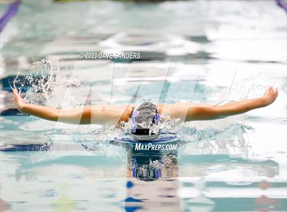 Thumbnail 3 in UIL 4A State Varsity Swim & Dive Finals photogallery.