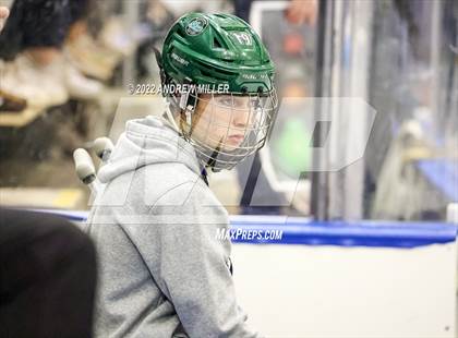 Thumbnail 1 in Suffern vs. Shenendehowa  (NYSPHSAA D1 Semifinal) photogallery.