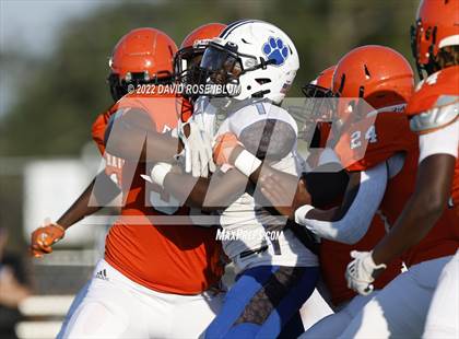 Thumbnail 3 in Ridgeview @ Orange Park photogallery.