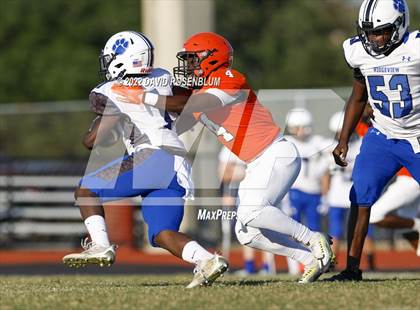Thumbnail 2 in Ridgeview @ Orange Park photogallery.