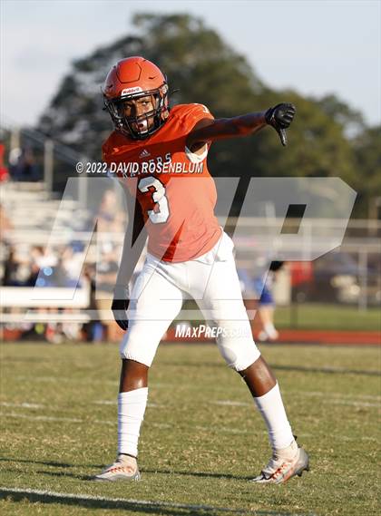 Thumbnail 3 in Ridgeview @ Orange Park photogallery.