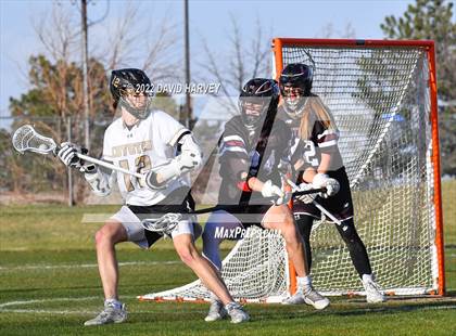 Thumbnail 2 in Monarch @ Chatfield photogallery.