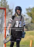 Photo from the gallery "Monarch @ Chatfield"