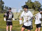 Photo from the gallery "Monarch @ Chatfield"