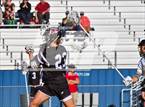 Photo from the gallery "Monarch @ Chatfield"