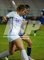 Photo from the gallery "Daphne @ Baker"