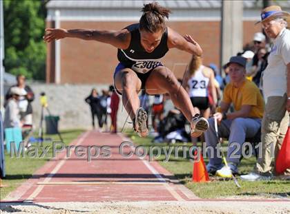Thumbnail 2 in Florida Relays photogallery.