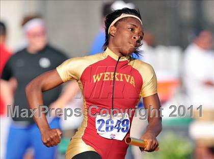 Thumbnail 3 in Florida Relays photogallery.
