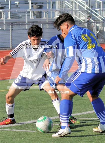 Thumbnail 3 in Mt. Eden vs Freedom photogallery.