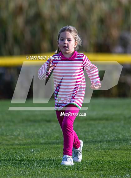 Thumbnail 3 in Winsor @ Pingree photogallery.