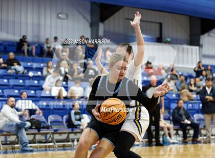 Thumbnail 3 in Achille @ Thackerville photogallery.
