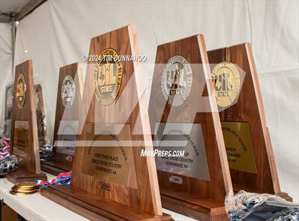 Thumbnail 3 in UIL Girls Cross Country Finals (Awards) photogallery.