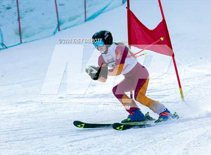 Thumbnail 1 in NYSPHSAA Section V Class A &B Giant Slalom Final (First Run) photogallery.