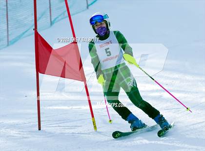 Thumbnail 2 in NYSPHSAA Section V Class A &B Giant Slalom Final (First Run) photogallery.