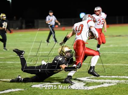 Thumbnail 1 in Mingus @ Verrado (AIA D3 Playoff) photogallery.