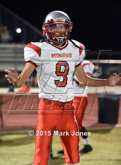 Thumbnail 1 in Mingus @ Verrado (AIA D3 Playoff) photogallery.